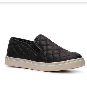 Steve Madden Ecentrcq Sneaker